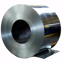 0CR25NI20 COLD ROLLED STAINLESS STEEL COIL